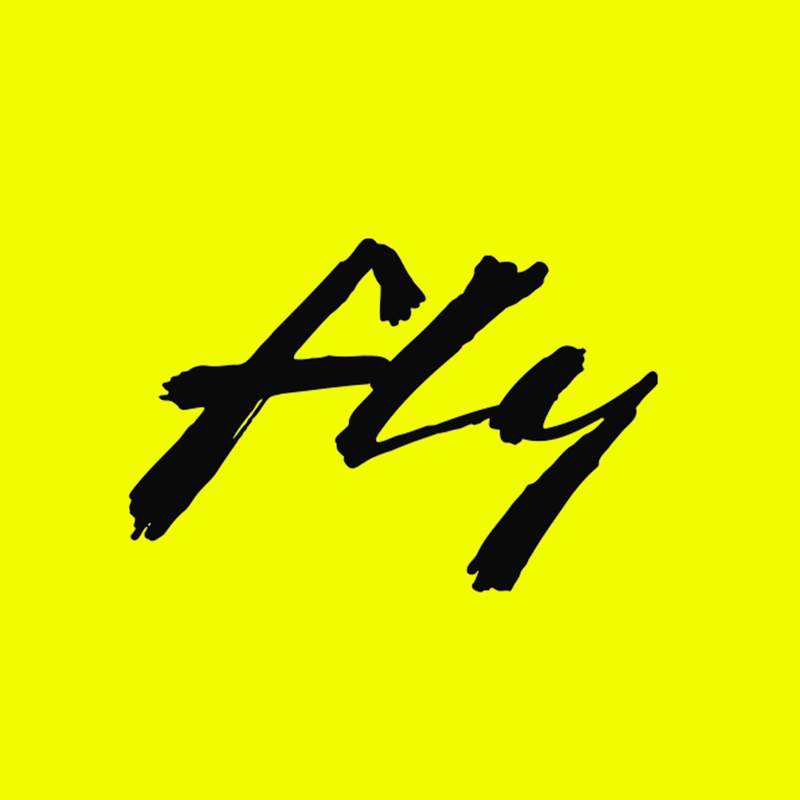 Fly